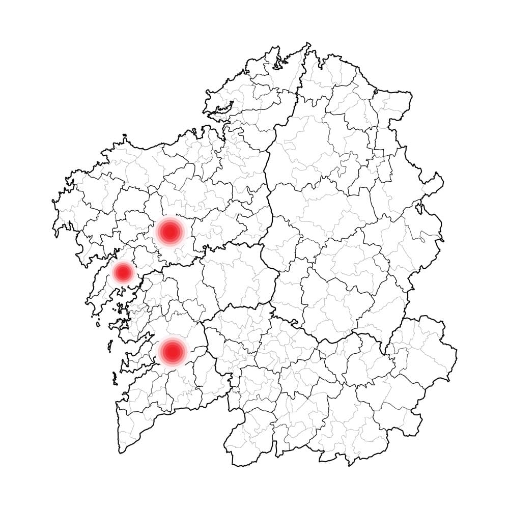 Somos especialistas en trabajos con suelos de madera